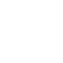 Customs Customs