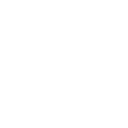 digitalised digitalised